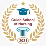 Gulab School Of Nursing