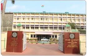 Campus Banner