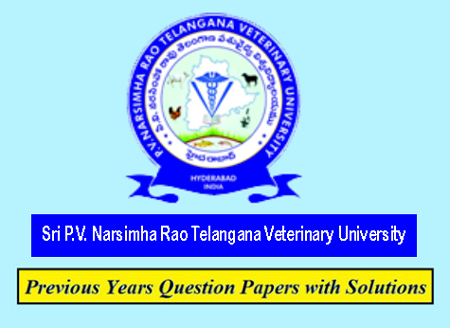 Campus Banner
