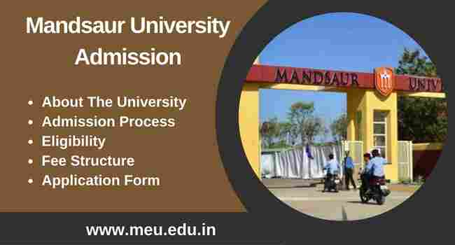 Mandsaur University  Mandsaur (M.P)