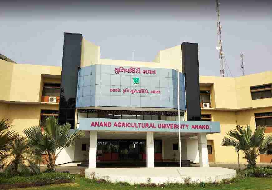 Campus Banner