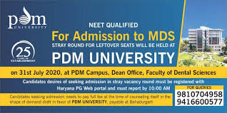 PDM University , Bahudurgarh , Haryana	