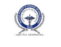 Campus Banner