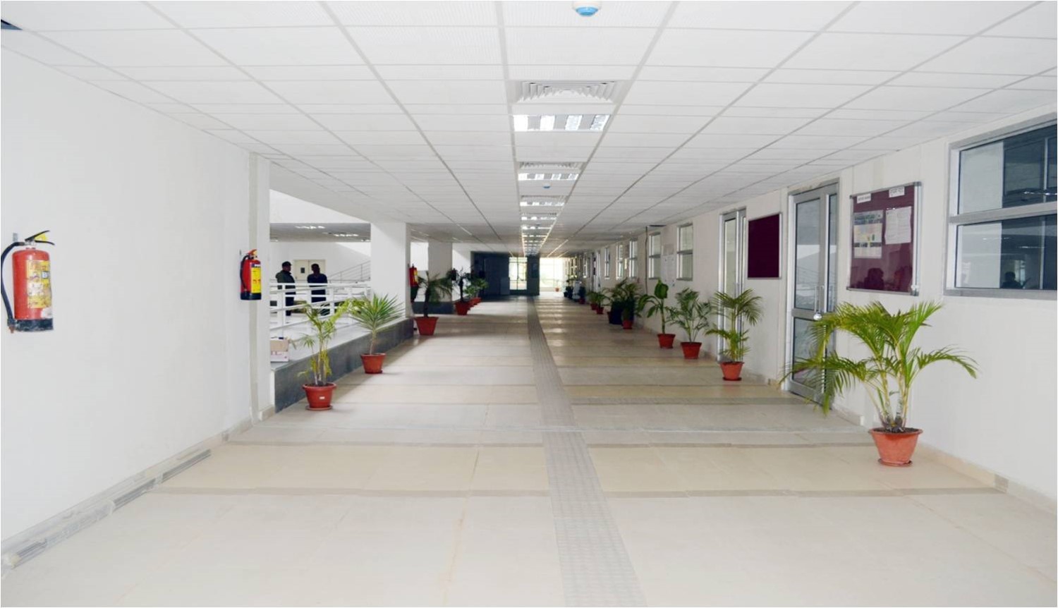 Central Unuversity of jammu,Samba